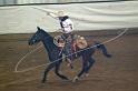 Rodeo Roping Horseback C